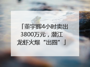 董宇辉4小时卖出3800万元，潜江龙虾火爆“出圈”